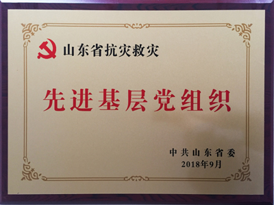 山東省抗災救災先進基層黨組織
