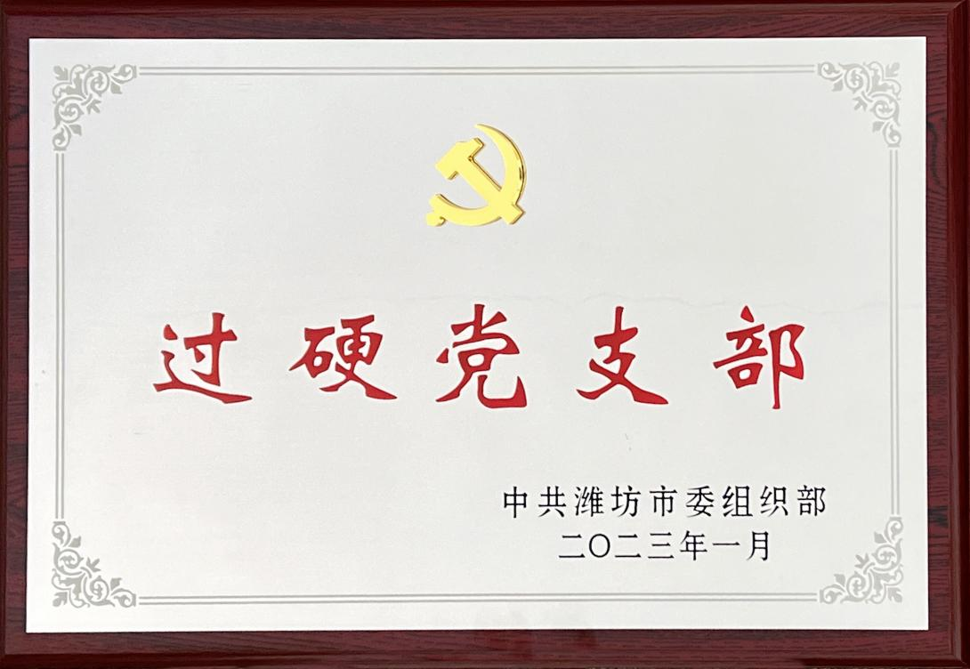 濰坊市過硬黨支部